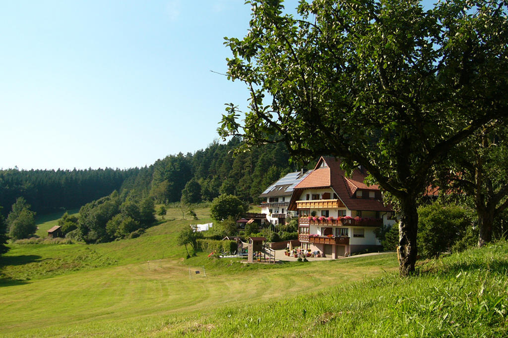 エルツァッハ Schlosshof - Der Urlaubsbauernhofヴィラ エクステリア 写真