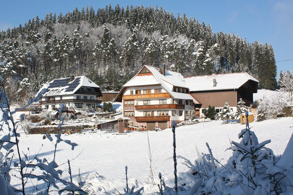エルツァッハ Schlosshof - Der Urlaubsbauernhofヴィラ エクステリア 写真