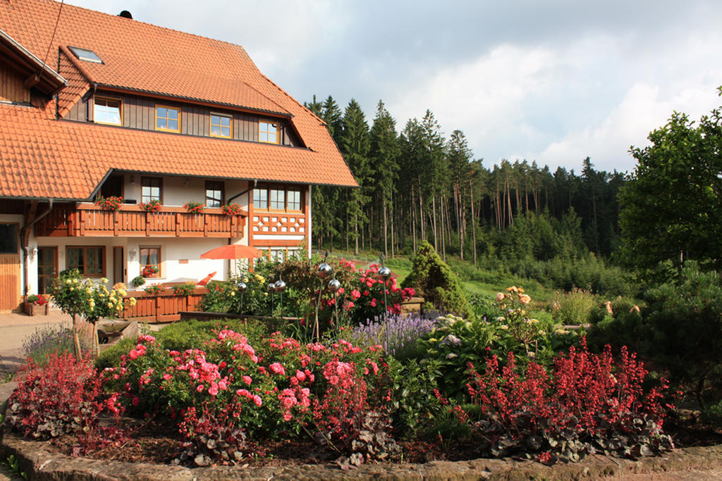 エルツァッハ Schlosshof - Der Urlaubsbauernhofヴィラ エクステリア 写真
